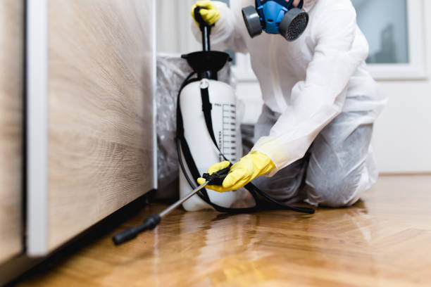 Best Flea Control Services  in Albany, CA