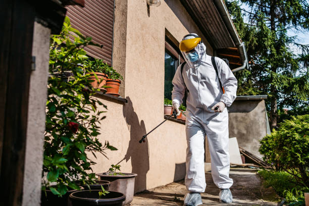 Best Wasp Removal Services  in Albany, CA