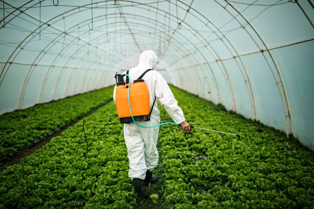 Best Pest Control for Businesses  in Albany, CA
