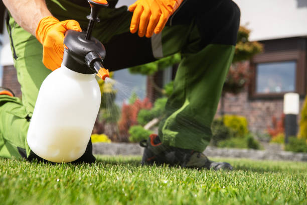 Best Best Pest Control Companies  in Albany, CA
