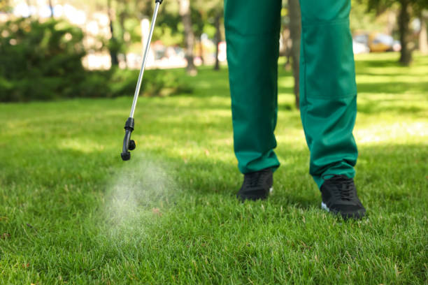 Pest Control for Restaurants in Albany, CA