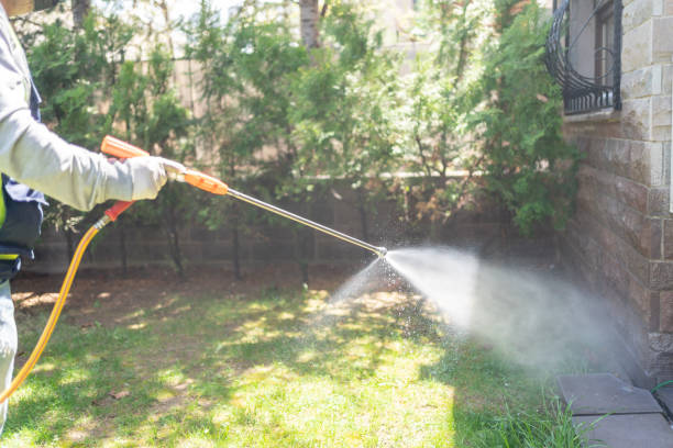 Best Insect Control  in Albany, CA
