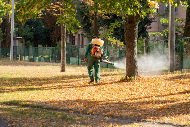 Best Affordable Pest Control Services  in Albany, CA